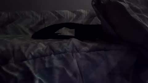 Snapshot of rcalty chatting on November 2025 01:37:01 AM rcalty online show from November 2025 01:37:01 AM