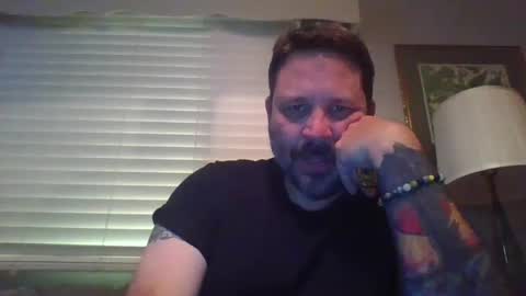 Bear online show from October 2025 04:00:02 AM