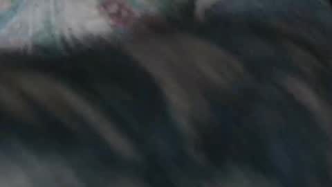 realrubpirate online show from January 2026 09:46:02 AM