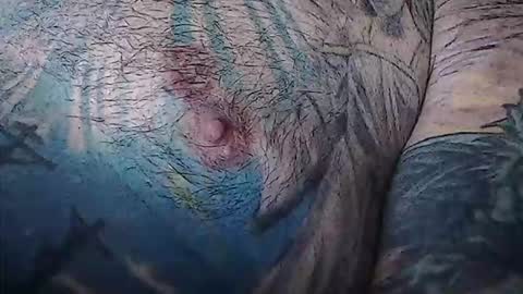 realrubpirate online show from February 2026 09:03:02 AM