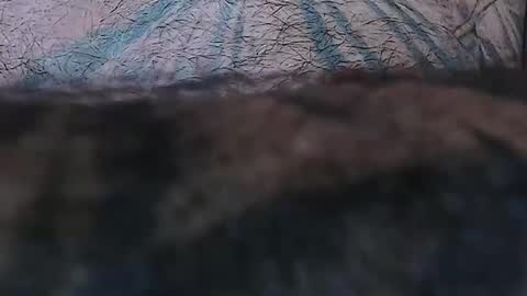 realrubpirate online show from April 2026 09:16:01 AM