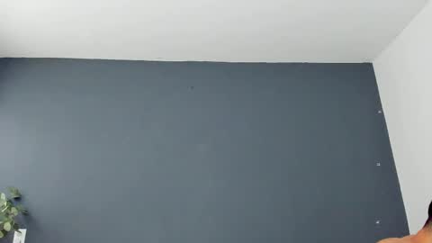 twitter REECET26 instagram RECCETAYLOR online show from November 2025 03:45:02 PM