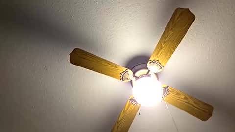 Snapshot of red24devils chatting on October 2025 05:41:02 PM red24devils online show from October 2025 05:41:02 PM