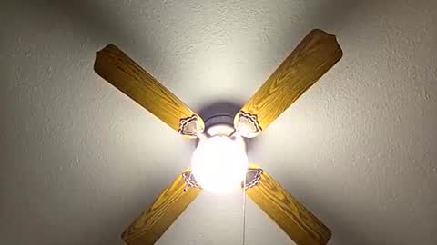 Snapshot of red24devils chatting on November 2025 01:04:02 AM red24devils online show from November 2025 01:04:02 AM