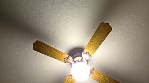 Snapshot of red24devils chatting on February 2026 08:07:02 PM red24devils online show from February 2026 08:07:02 PM