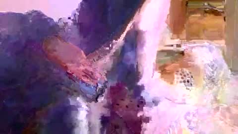 redrodridding online show from February 2025 02:26:02 PM