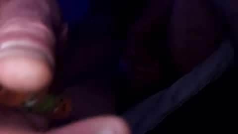 redrodridding online show from March 2025 01:23:01 AM