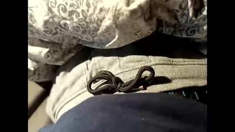 reedy123456789 online show from October 2025 09:20:01 AM