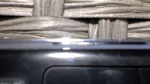 repeatergun10 online show from February 2026 11:07:01 AM