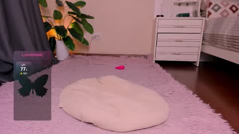 Rein online show from November 2025 02:53:02 PM