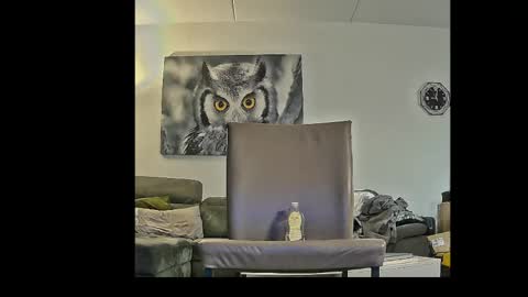 richard__076__ online show from April 2026 07:01:02 PM