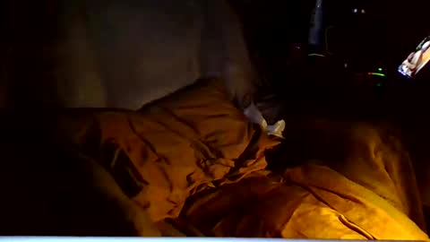 Snapshot of ricks4fun chatting on March 2026 04:53:02 AM PINK HOLE TWINK online show from March 2026 04:53:02 AM