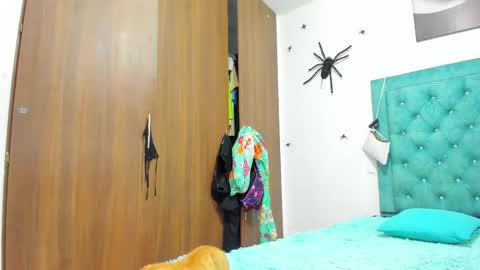 Rihanna hotx online show from November 2025 09:20:02 AM