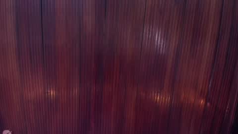 Snapshot of riley_reid_19 chatting on December 2024 02:05:02 PM kamila online show from December 2024 02:05:02 PM