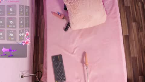 Snapshot of riley_reid_19 chatting on December 2024 06:28:01 AM kamila online show from December 2024 06:28:01 AM
