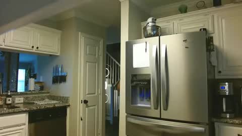 riley depp online show from February 2025 10:04:01 PM