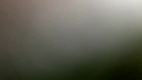 Snapshot of rimzari136 chatting on April 2026 04:26:01 PM rimzari136 online show from April 2026 04:26:01 PM