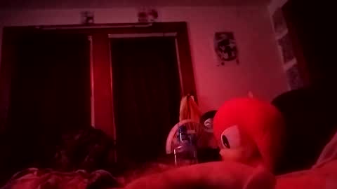 riseagainstt online show from December 2024 12:29:01 AM