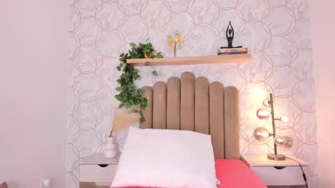   online show from November 2025 12:05:02 PM