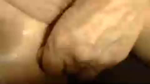 romantiko9 online show from June 2026 05:33:02 PM