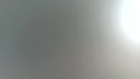 Trinked online show from February 2026 02:22:01 AM