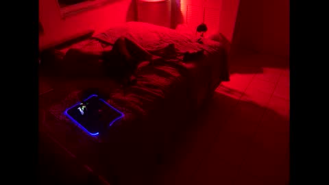 romeotyn online show from February 2025 03:01:02 AM