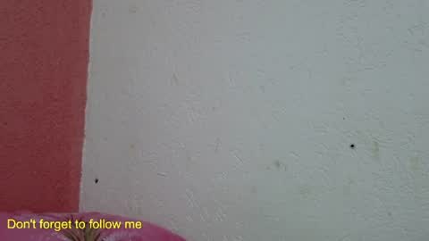 ronny online show from January 2025 10:10:01 PM