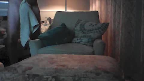 Snapshot of ronvlv chatting on July 2026 01:43:01 AM ronvlv online show from July 2026 01:43:01 AM