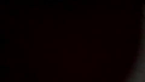 rooster2024 online show from March 2026 12:55:01 PM