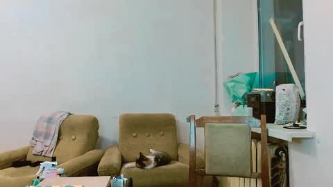 rosa843850 online show from February 2025 01:47:02 PM