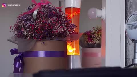 Rosalie online show from September 2025 08:47:01 AM