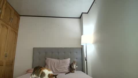 Snapshot of rosasanta8009 chatting on October 2025 08:31:02 PM I am Rosa online show from October 2025 08:31:02 PM