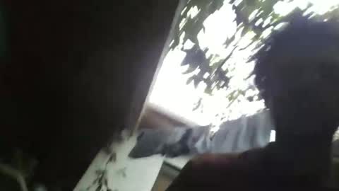 roseandjamesworld online show from March 2026 12:52:02 PM