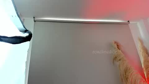 Lyla OF roselinedior online show from September 2025 02:39:02 PM