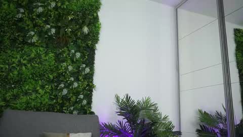 Amii online show from April 2026 05:42:02 PM