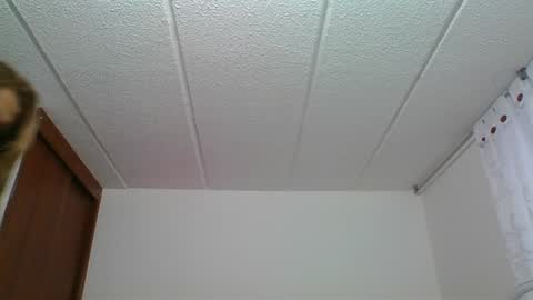 Rossana  online show from December 2024 10:23:01 PM