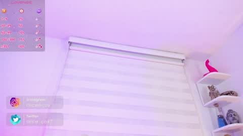   online show from January 2025 11:15:02 AM