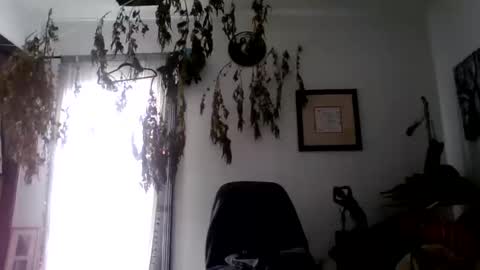 Snapshot of royboy2561 chatting on October 2025 08:08:01 PM Roy Murrin online show from October 2025 08:08:01 PM