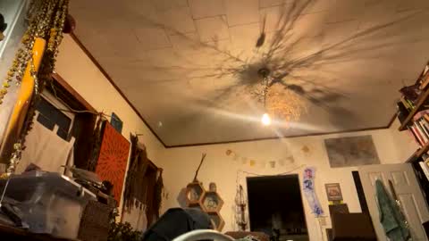 rp131313 online show from November 2025 01:59:02 AM