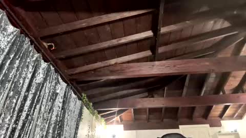 Richhancocc online show from January 2026 01:15:01 PM