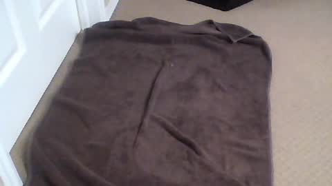 Snapshot of rp4funrp chatting on July 2026 02:50:01 AM rp4funrp online show from July 2026 02:50:01 AM