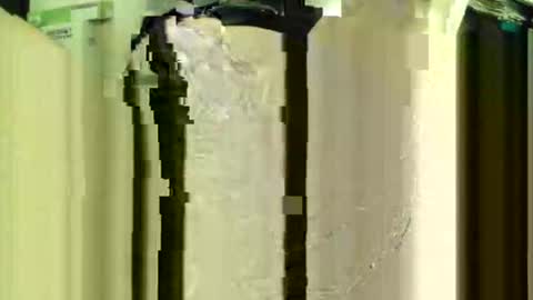 Snapshot of rubis501 chatting on February 2025 11:36:01 PM rubis501 online show from February 2025 11:36:01 PM