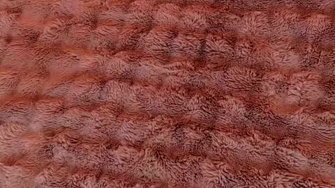 Ruby Luxe online show from April 2026 04:53:01 AM