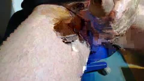 rudi_rudi_rudi_rudi online show from July 2026 01:36:02 PM