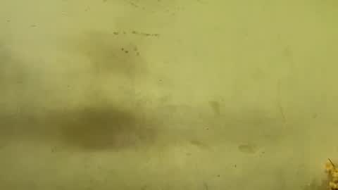 Snapshot of rupali01 chatting on December 2025 04:19:01 AM Rupali online show from December 2025 04:19:01 AM