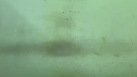 Snapshot of rupali01 chatting on December 2025 04:47:01 PM Rupali online show from December 2025 04:47:01 PM