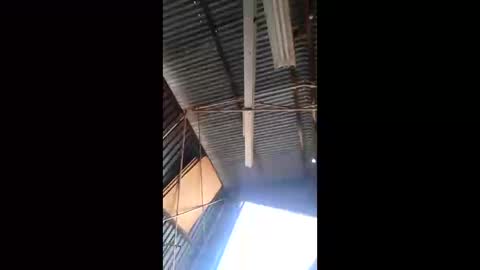 Snapshot of rustynuts95716 chatting on March 2026 01:54:01 AM rustynuts95716 online show from March 2026 01:54:01 AM