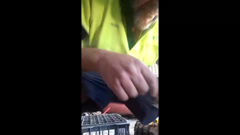 Snapshot of rustynuts95716 chatting on March 2026 04:50:02 AM rustynuts95716 online show from March 2026 04:50:02 AM