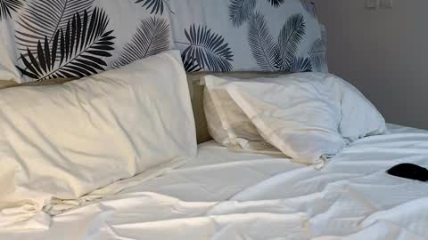 ryanstorm1 online show from February 2026 04:54:01 PM