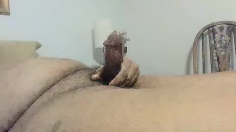 s901258 online show from December 2024 01:58:01 PM